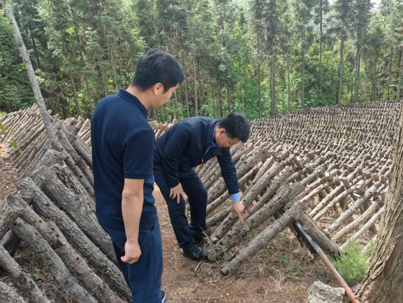 王雷调研分省院驻村帮扶工作情况