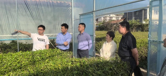 王雷一行到镇巴县大市川村调研