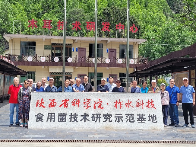 分省院离退休支部赴柞水开展党建学习暨科技助农活动