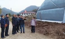 分省院党组书记詹瑞一行到大市川村慰问调研