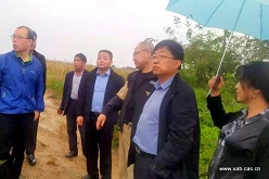 中科院西安分团在蒲城县开展小麦新品种及栽培技术推广