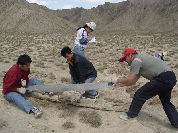 研究表明青藏高原最近百年干旱在过去3500年极其罕见