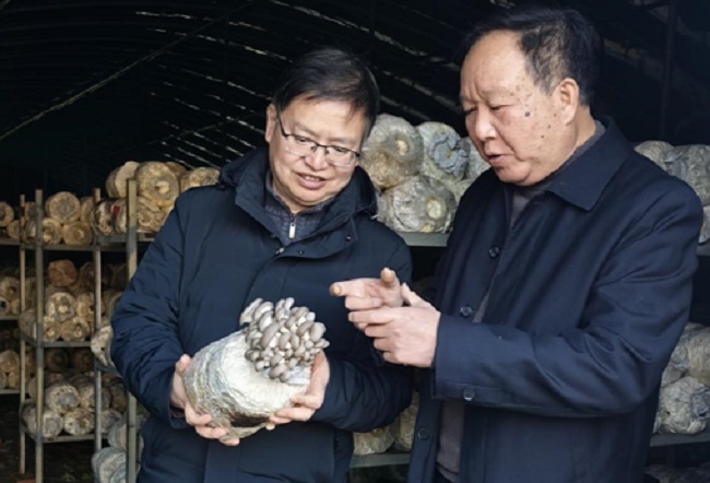 陕西省微生物研究所科研人员赴汉中开展食用菌产业合作调研