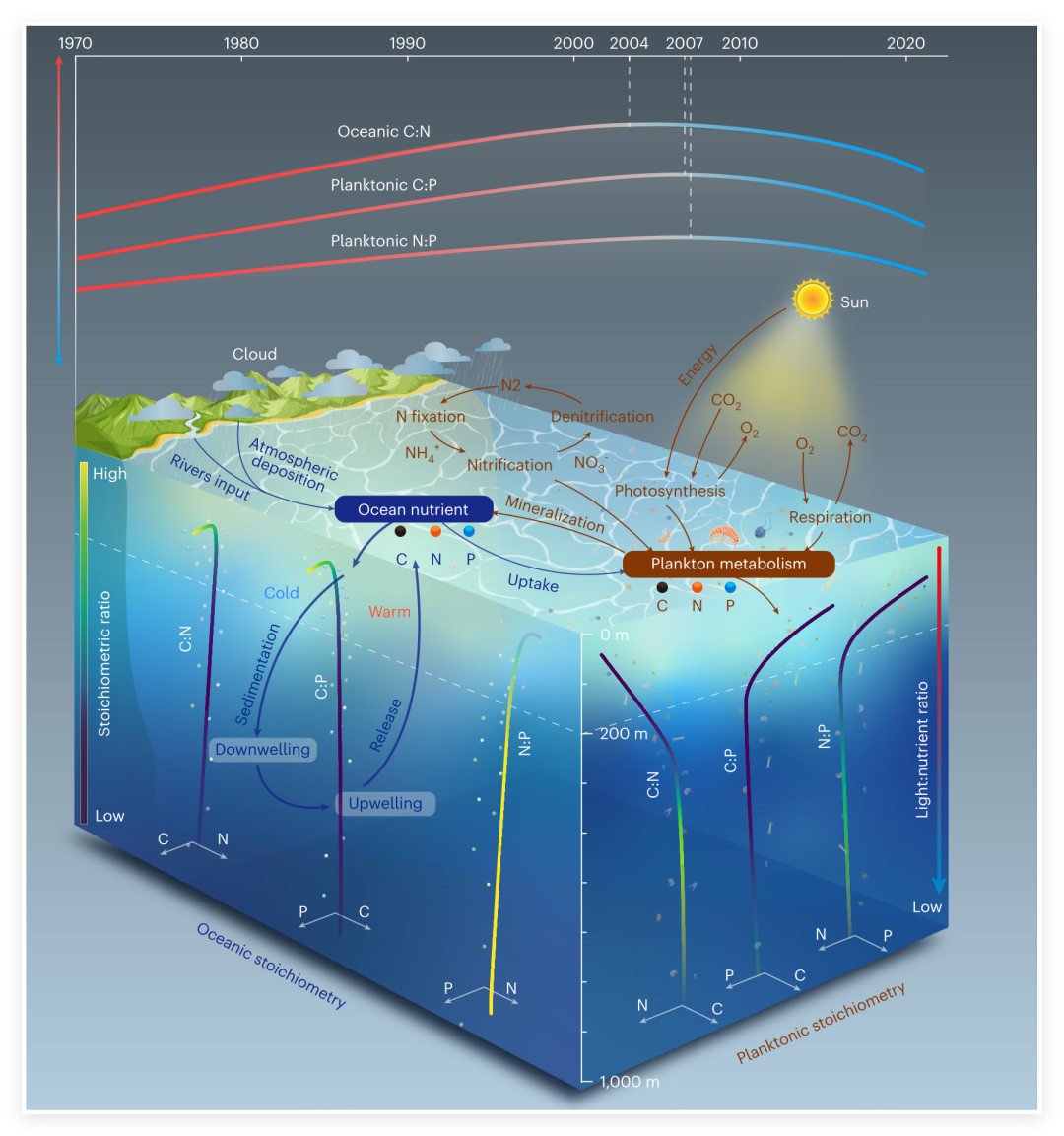 地球环境所揭示全球海洋生态计量比发生系统性变化