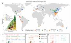 地球环境所揭示植被生产力驱动土壤微生物碳利用效率与呼吸作用的解耦