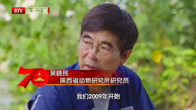 《壮丽七十年，时间都知道》——北京电视台播出吴晓民团队西成高铁朱鹮保护