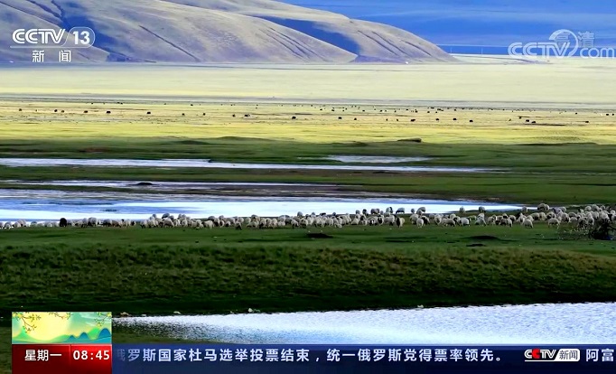 大美西藏 这里是动物的天堂