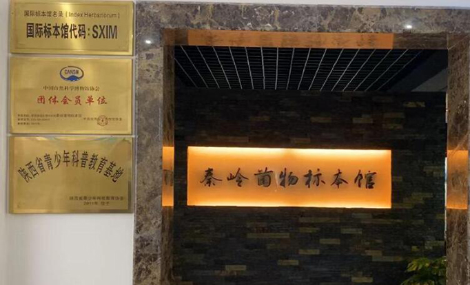 秦岭“识菌”人（1）摸清秦岭大型真菌的“家底”