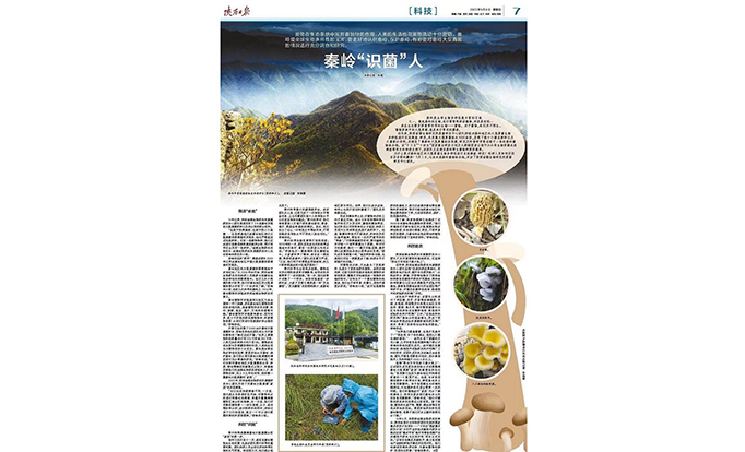 《陕西日报》专题报道：秦岭“识菌”人