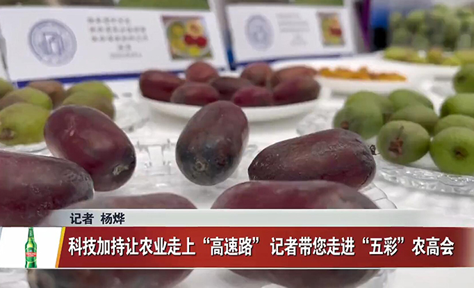 科技加持让农业走上“高速路” 记者带您走进“五彩”农高会