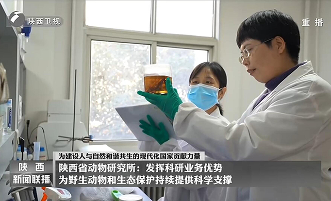 陕西新闻联播：为建设人与自然和谐共生的现代化国家贡献力量