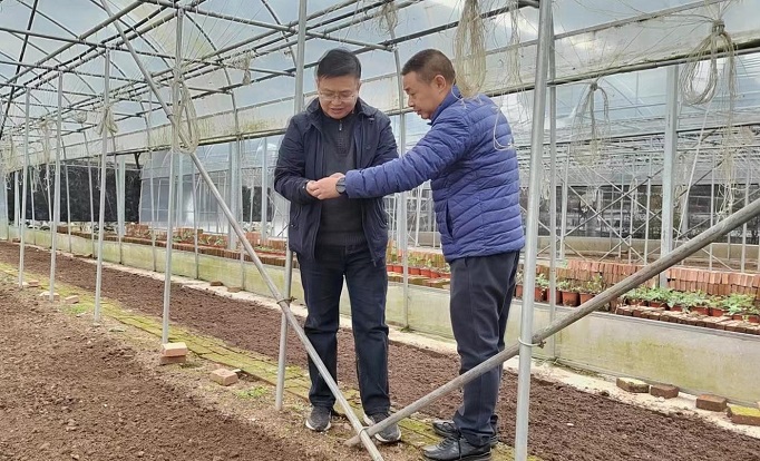 “组团式”走出科技帮扶新路子