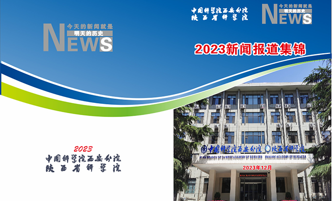 西安分院2023年新闻报道集锦