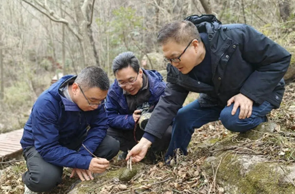 ​【秦岭生态环境保护】住陕全国政协委员陈怡平：把论文“写”在秦岭上