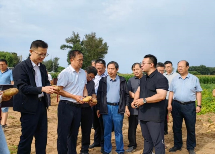省生物农业所攻克马铃薯腐烂茎线虫病害防控难题