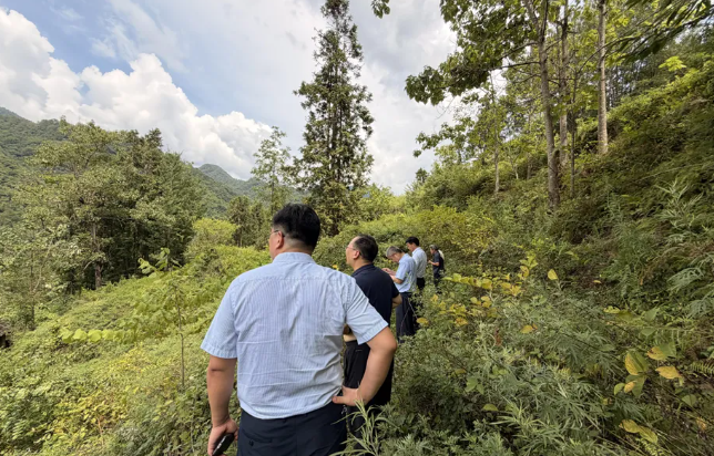 深化院地产学研合作 激活石泉农林产业科创动能