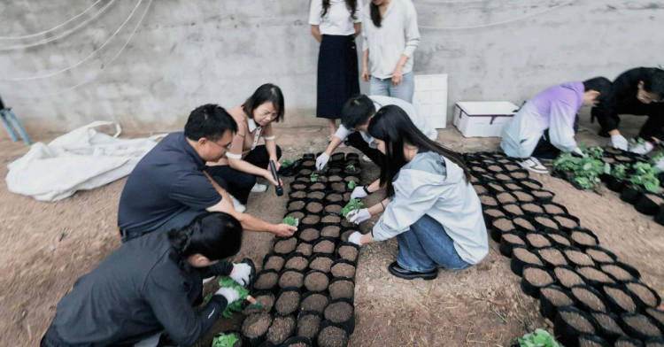 科技部“根在基层”调研团到陕西省科学院柞水林下经济示范区调研